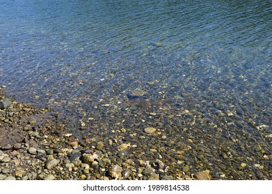 Beach At The Puget Sound On Olympic Peninsula, Washington