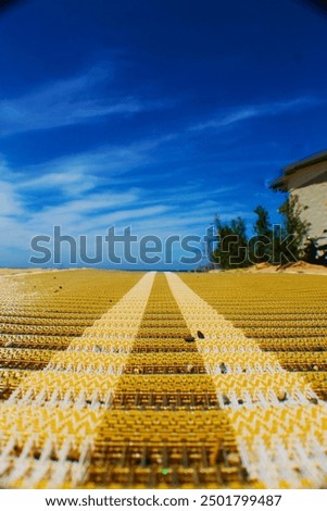 beach road to the sky 
