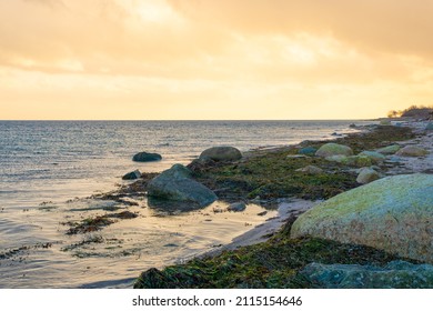 Beach with rocks and sunset