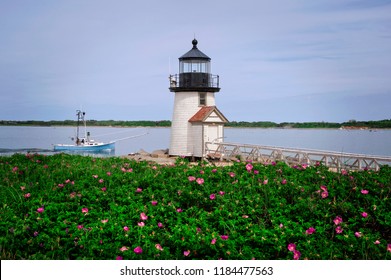 Beach Roses Near Nantucket Island Lighthouse, Brant Point Light, As It Guides A Fishing Boat Into The Harbor.