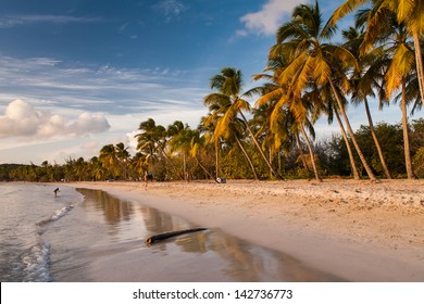 Plage Martinique High Res Stock Images Shutterstock