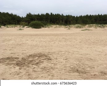 The beach sand