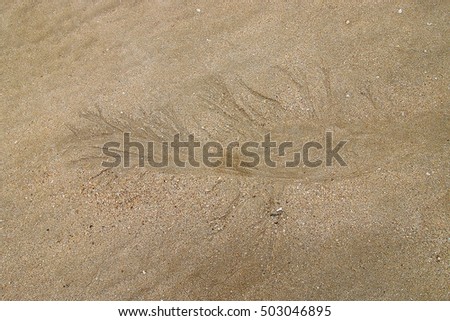 Similar – Sandstruktur4 Strand