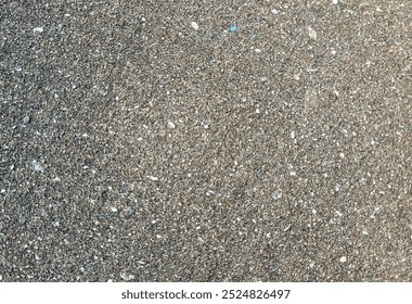 Beach Sand Background with Irregular Shell Fragments