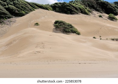 Beach Sand Dunes At East London South Africa  