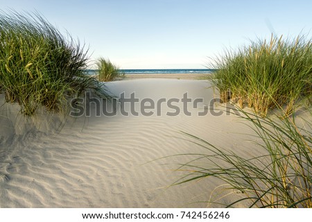 Similar – Image, Stock Photo Dune with sea view Freedom