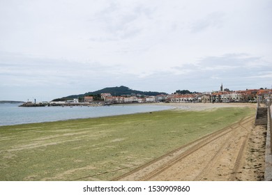 Beach sand with lots of seaweed. Village of Panxon (Spain) - Shutterstock ID 1530909860