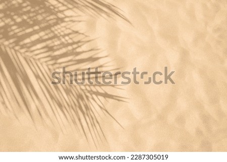 Beach sand with the palm leaves shadows