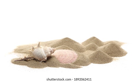 Beach Sand Pile With Sea Shells, Clam Isolated On White Background