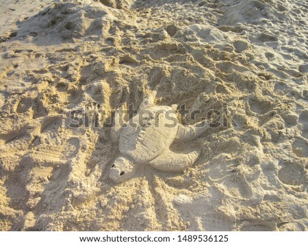 Similar – Zurück ins Wasser Strand