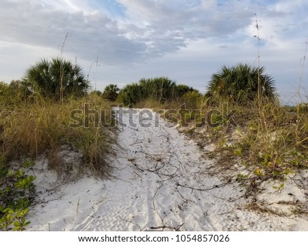 beach sand setting
