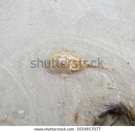 beach sand setting