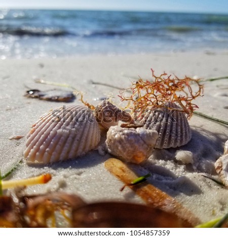 beach sand setting
