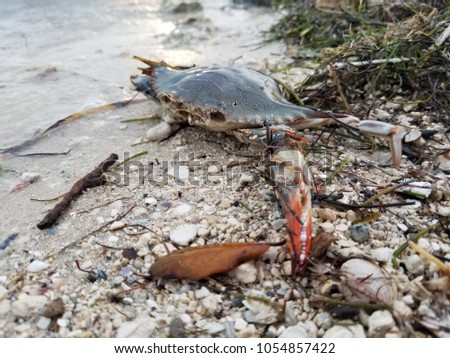 beach sand setting