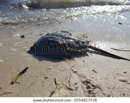 beach sand setting