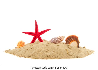 Beach With Sand Starfish And Shells Isolated Over White