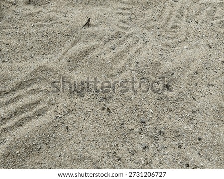 beach sand surface with an irregular shape