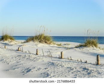                   Beach Scape  On Gulf Coast           