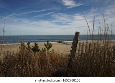 Beach Scene At Cape Henlopen