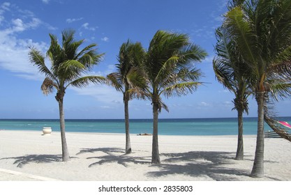 Beach Scene Hollywood, Florida