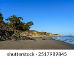 Beach scenery at Tar Pits Park, Carpinteria, California, includes tar covered rocks and driftwood scattered along the shore. A pier stretches into the sea, set against a backdrop of coastal cliffs