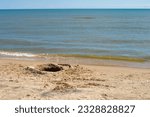 Beach scenes at Point Beach State Forest on Lake Michigan near Two Rivers, Wisconsin