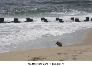 Beach At Sea Bright, NJ