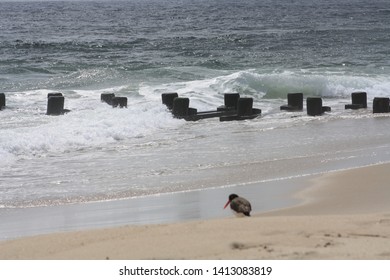 Beach At Sea Bright, NJ