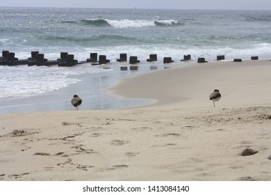 Beach At Sea Bright, NJ