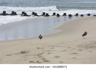 Beach At Sea Bright, NJ