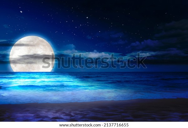 Beach, sea and\
moon in blue space. Amazing view of the blue color in the sky.\
Background night sky with stars, moon and sand-beach. The image of\
the moon of incomparable\
beauty.