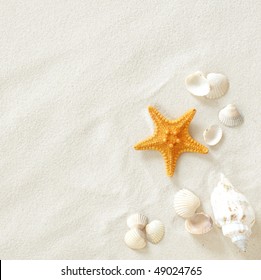 Beach with a lot of seashells and starfish