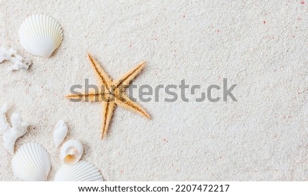 Beach with seashells and starfish for background.