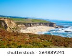 Beach and seaside cliffs at Half Moon Bay California