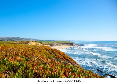 Beach and seaside cliffs at Half Moon Bay California.  Ice plants.  Sour fig plants.