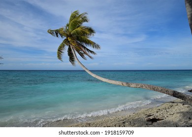 10,724,602 Nature Beach Images, Stock Photos & Vectors | Shutterstock