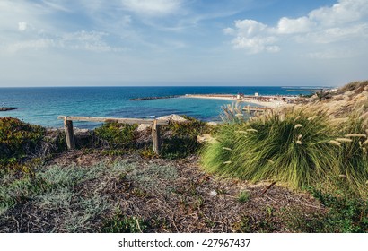 Beach Seen From The Independence Park In Tel Aviv, Israel