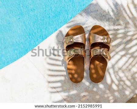 Beach shoes in the shadow of a palm tree