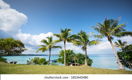 Beach Side On Lifou Island