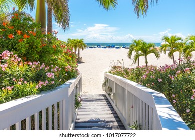 Beach In St Petersburg, Florida, USA