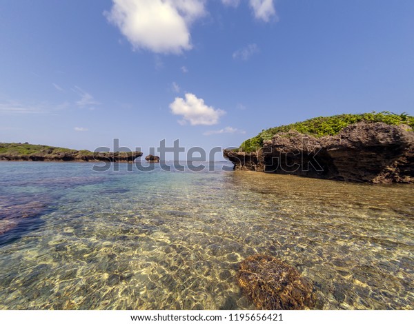 Beach Star Sand Beachjapanese Name Hoshizuna Stock Photo Edit Now 1195656421