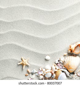 Beach With Starfish And Seashells