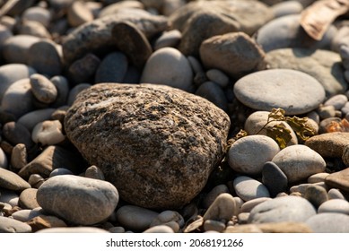 Beach Stones Fossils Nature.Stone Texture For Background.