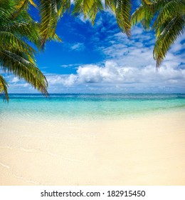 beach summer with clouds, blue sky and palm tree beautiful paradise for holiday and relax copy space background