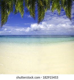 Caribbean Beach Summer Tropical Color Palm Stock Photo 183980720 ...