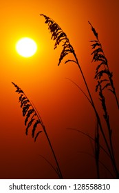 Beach Sunrise At Oak Island, NC