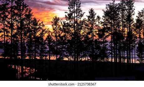 Beach Sunset - Pacific Beach, WA