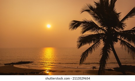 Beach Sunset with Palm Tree