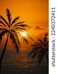 Beach Sunset Palm Tree Silhouette