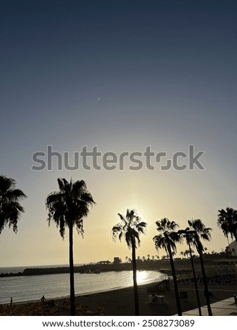 venice beach Strand